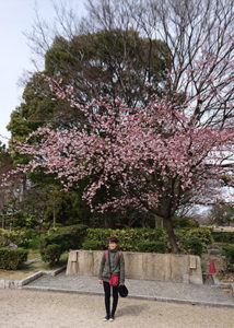 桜はまさに日本の春。